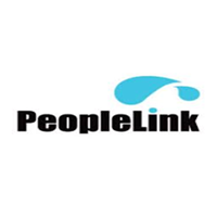 skynet services people link partners logo